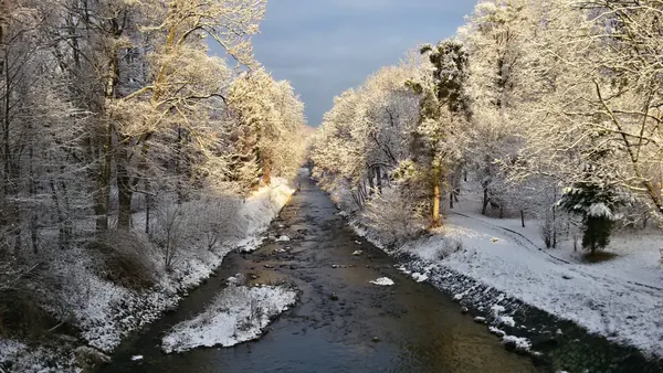 Říčka mezi ojíněnými stromy